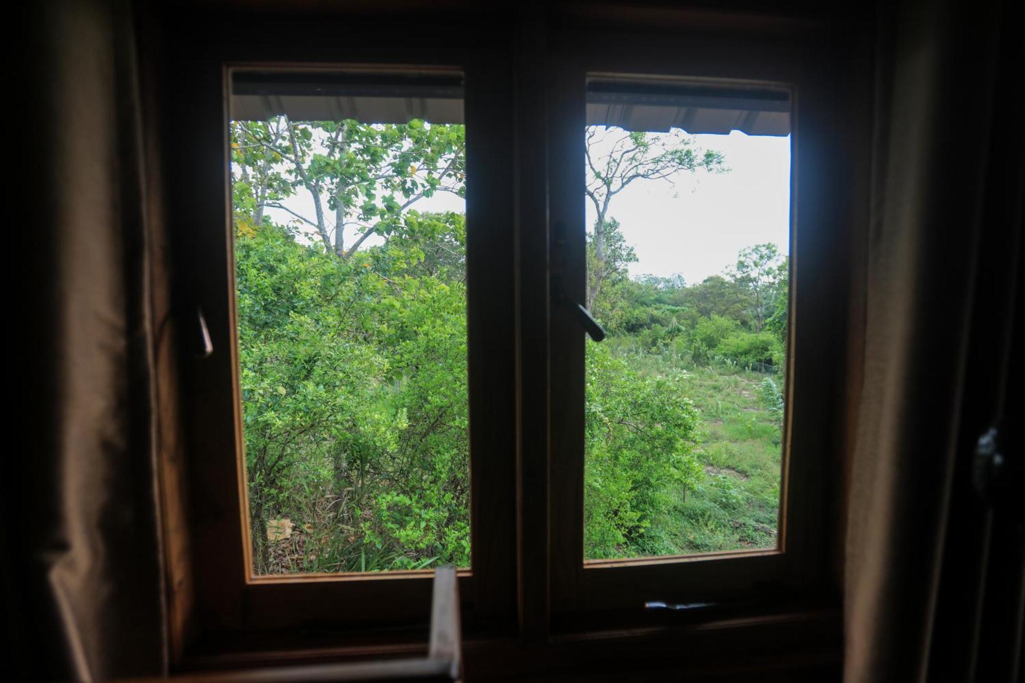 Villa Lion Wood Treehouse Talkote Exterior foto